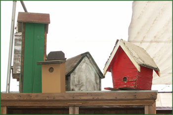 birdhouses